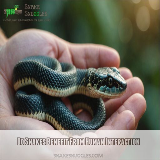 Do Snakes Benefit From Human Interaction