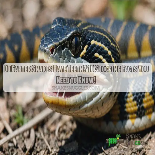 does a garter snake have teeth