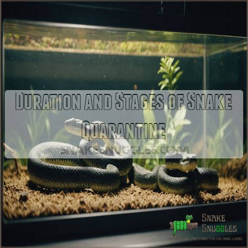 Duration and Stages of Snake Quarantine