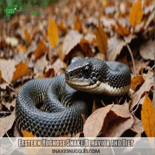 Eastern Hognose Snake Behavior and Diet