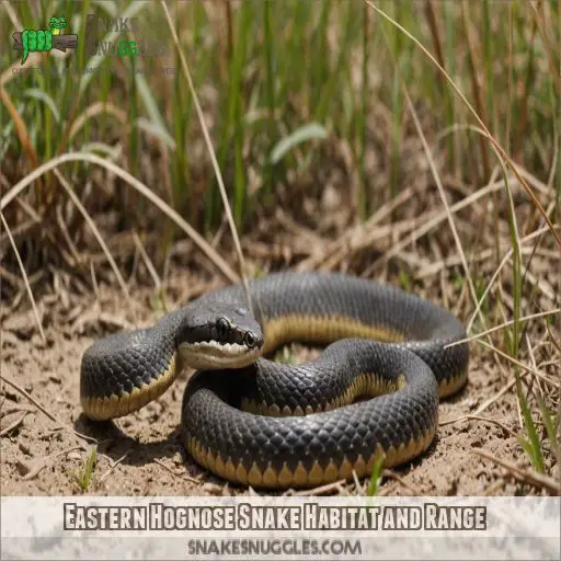 Eastern Hognose Snake Habitat and Range