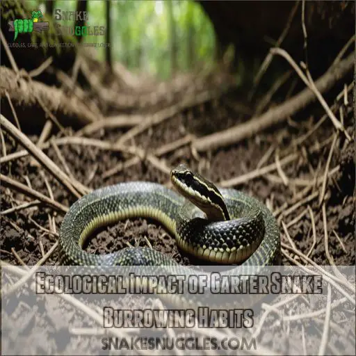 Ecological Impact of Garter Snake Burrowing Habits