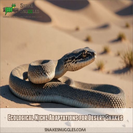 Ecological Niche Adaptations for Desert Snakes