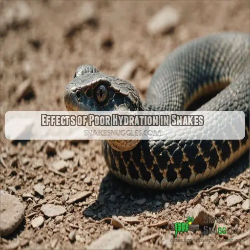 Effects of Poor Hydration in Snakes