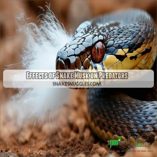 Effects of Snake Musk on Predators