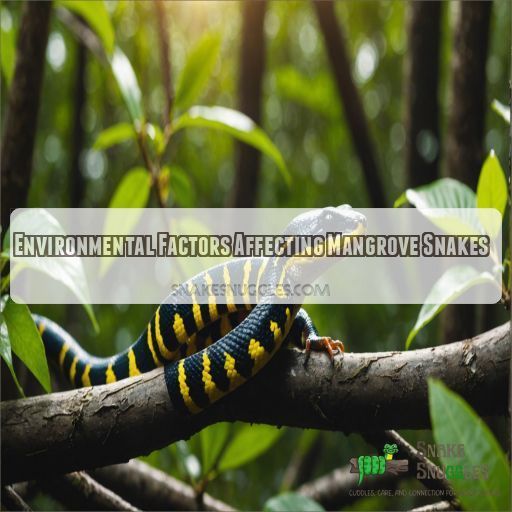 Environmental Factors Affecting Mangrove Snakes