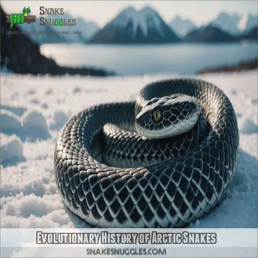 Evolutionary History of Arctic Snakes