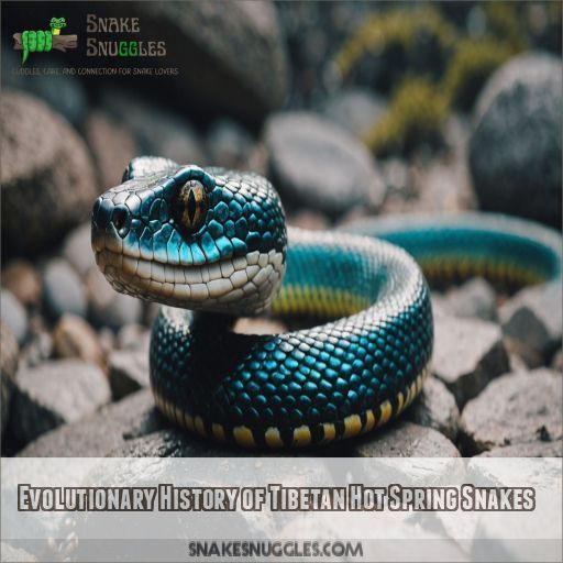 Evolutionary History of Tibetan Hot Spring Snakes