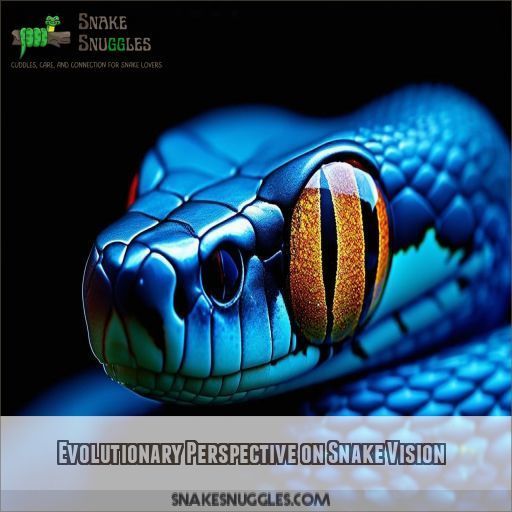 Evolutionary Perspective on Snake Vision