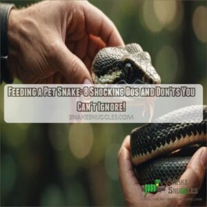 Feeding a pet snake: dos and donts