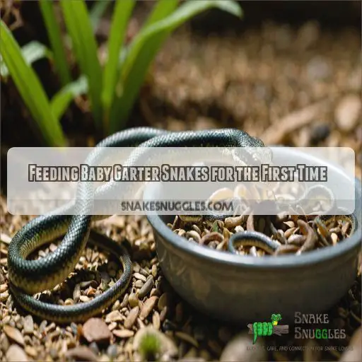 Feeding Baby Garter Snakes for the First Time