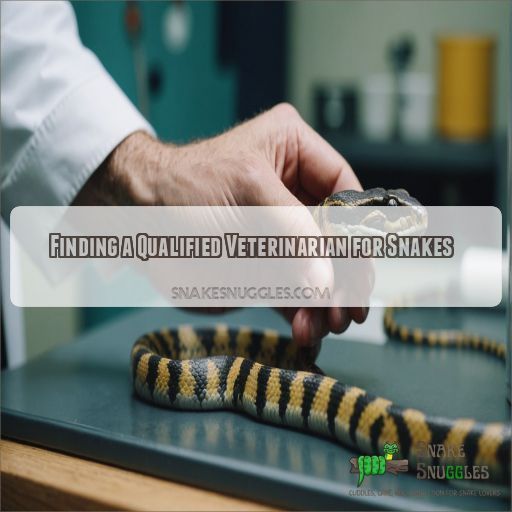 Finding a Qualified Veterinarian for Snakes