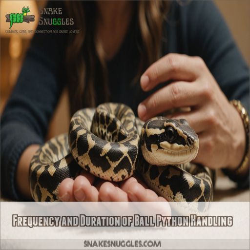 Frequency and Duration of Ball Python Handling