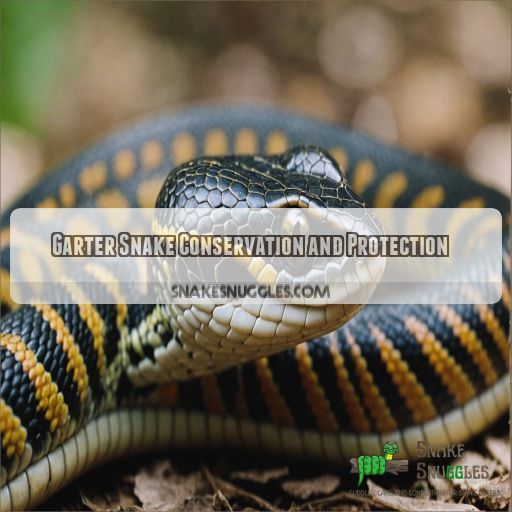 Garter Snake Conservation and Protection