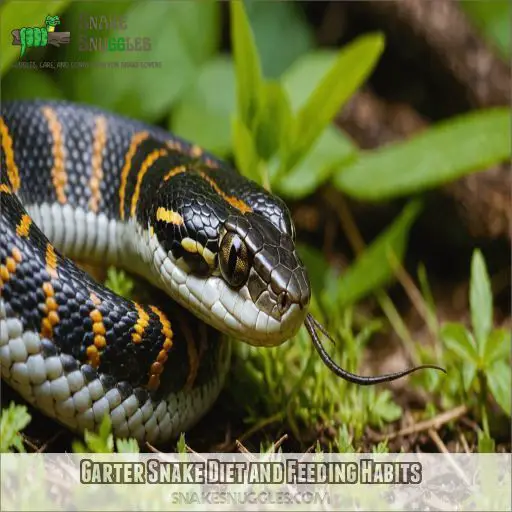 Garter Snake Diet and Feeding Habits