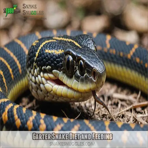 Garter Snake Diet and Feeding