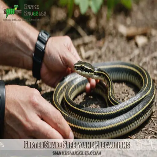 Garter Snake Safety and Precautions