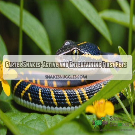 Garter Snakes: Active and Entertaining First Pets