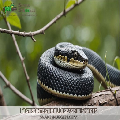 Gastrointestinal Disease in Snakes