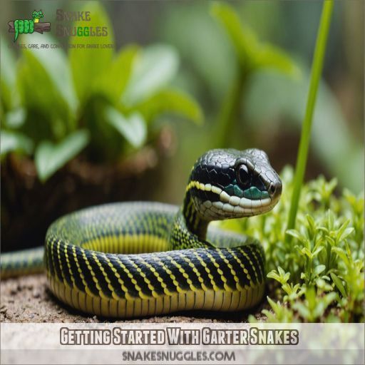 Getting Started With Garter Snakes