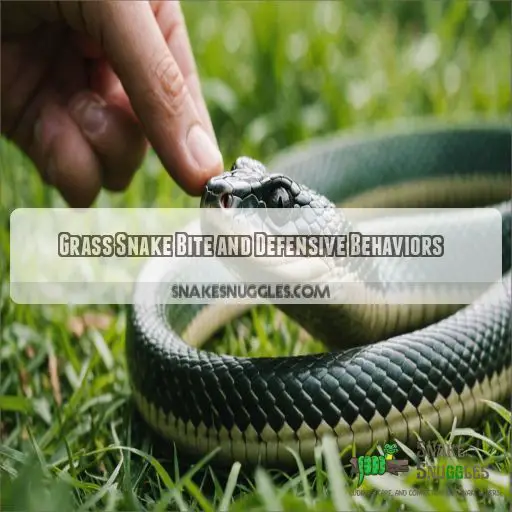 Grass Snake Bite and Defensive Behaviors