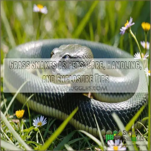 grass snakes as pets