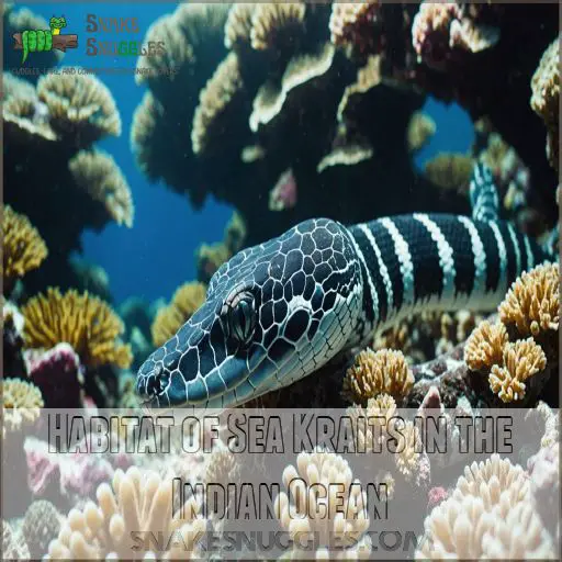 Habitat of Sea Kraits in the Indian Ocean