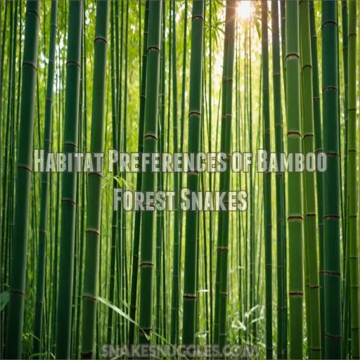 Habitat Preferences of Bamboo Forest Snakes