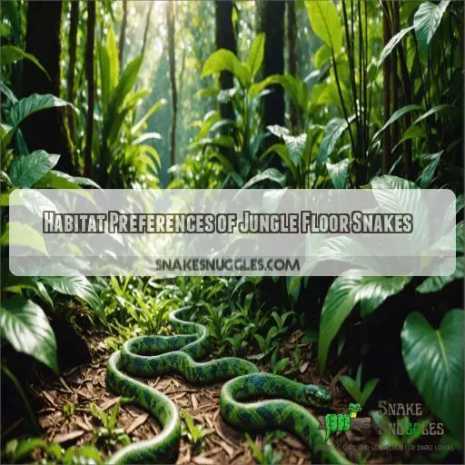 Habitat Preferences of Jungle Floor Snakes