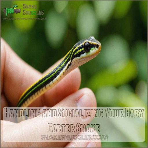 Handling and Socializing Your Baby Garter Snake