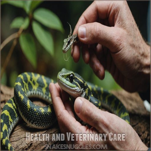 Health and Veterinary Care