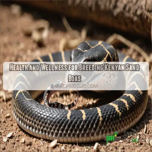 Health and Wellness for Breeding Kenyan Sand Boas