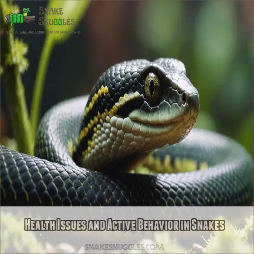 Health Issues and Active Behavior in Snakes