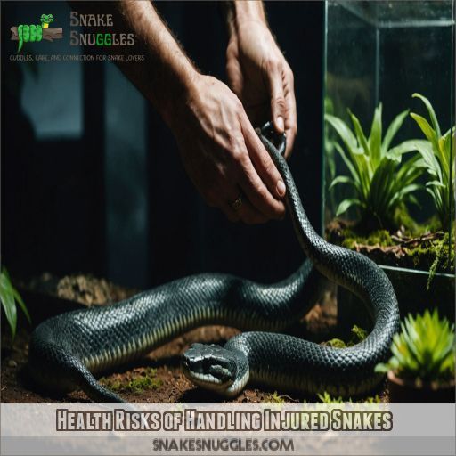 Health Risks of Handling Injured Snakes