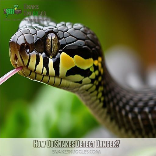 How Do Snakes Detect Danger