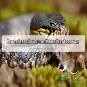 How to feed a snake whole food prey