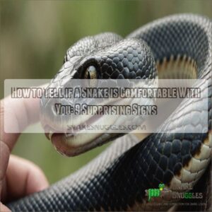 how to tell if a snake is comfortable with you