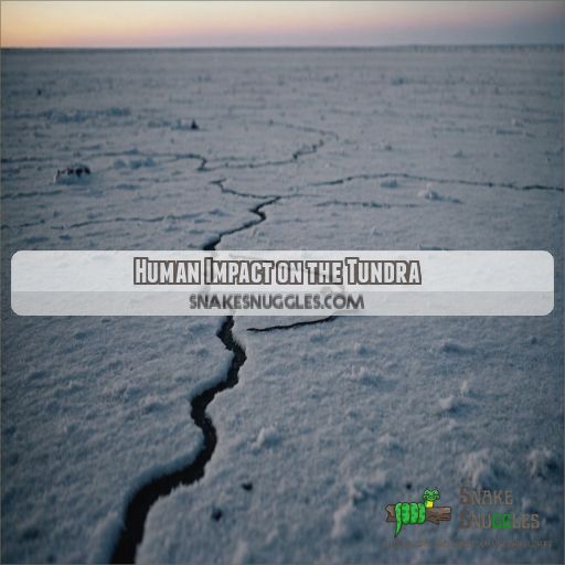 Human Impact on the Tundra