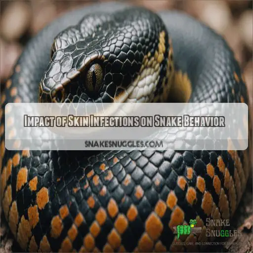 Impact of Skin Infections on Snake Behavior