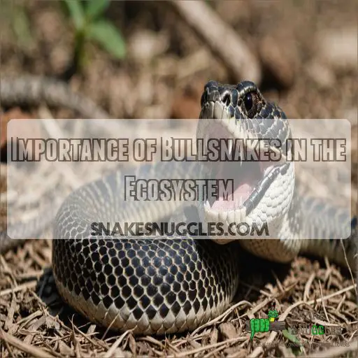 Importance of Bullsnakes in the Ecosystem