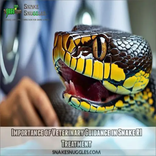 Importance of Veterinary Guidance in Snake RI Treatment