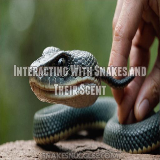 Interacting With Snakes and Their Scent