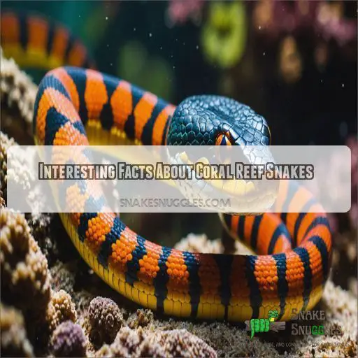 Interesting Facts About Coral Reef Snakes