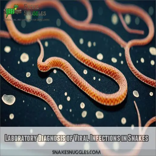 Laboratory Diagnosis of Viral Infections in Snakes