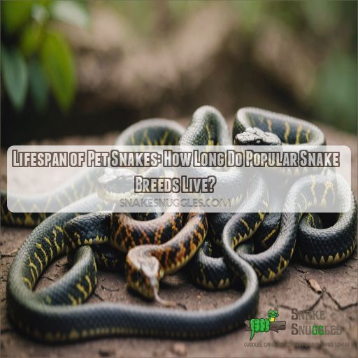 lifespan of pet snakes for the most popular breeds