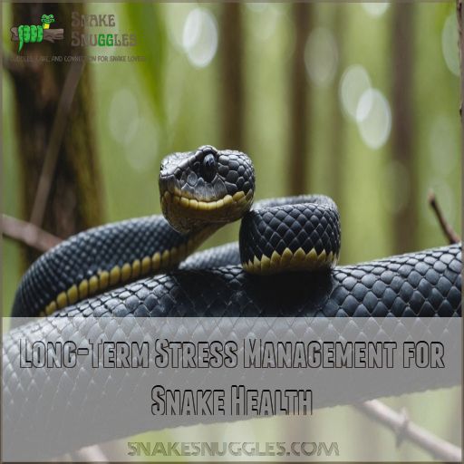 Long-Term Stress Management for Snake Health