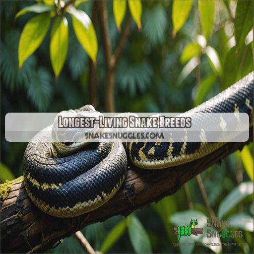 Longest-Living Snake Breeds