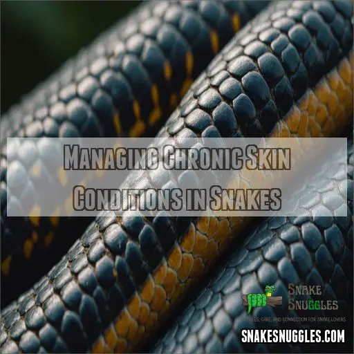 Managing Chronic Skin Conditions in Snakes