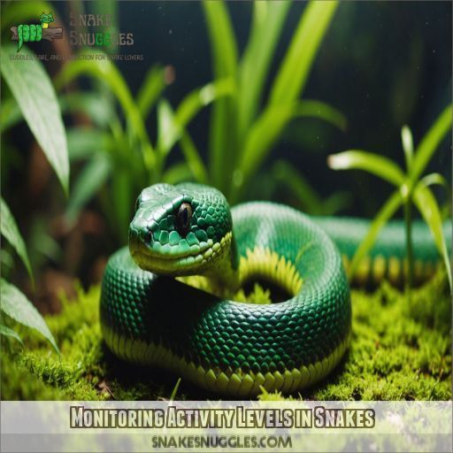 Monitoring Activity Levels in Snakes