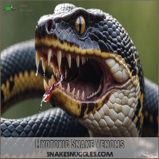 Myotoxic Snake Venoms